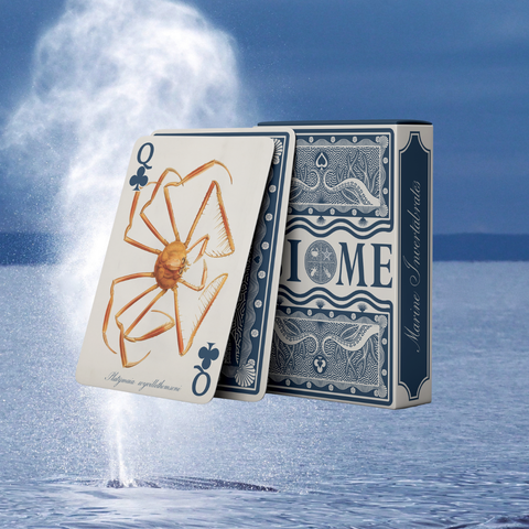 Biome Card Game
