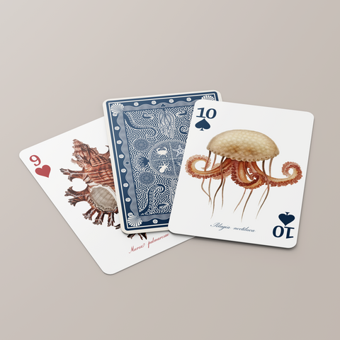 Biome Card Game