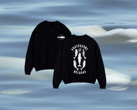 Crewneck noir - protégeons nos bélugas