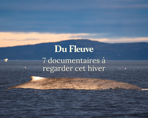 7 documentaires à regarder cet hiver