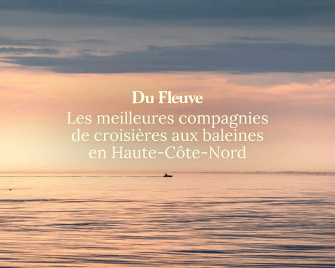 Avec qui faire une croisière aux baleines sur la Haute-Côte-Nord? On vous aide à choisir.