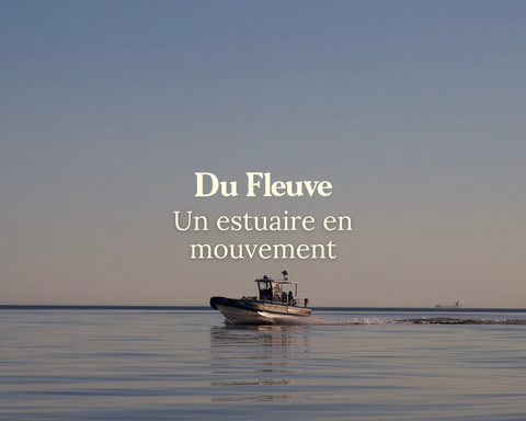 Un estuaire en mouvement