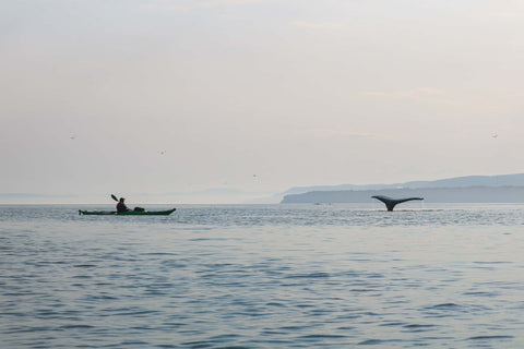 Excursion de kayak de mer