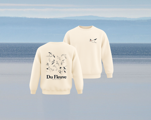 Crewneck oiseaux